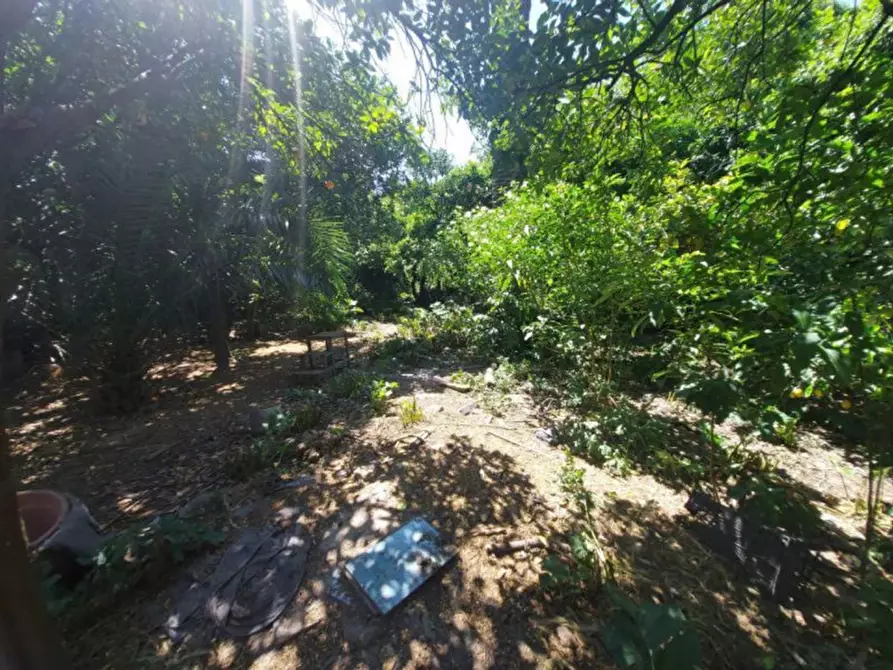 Immagine 4 di Terreno in vendita  in VIA TRE GRAZIE, N. SNC a Grazzanise