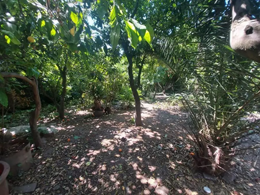 Immagine 6 di Terreno in vendita  in VIA TRE GRAZIE, N. SNC a Grazzanise