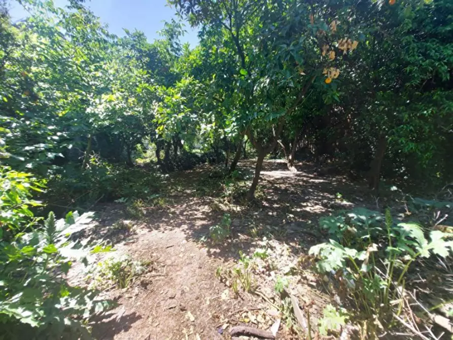 Immagine 7 di Terreno in vendita  in VIA TRE GRAZIE, N. SNC a Grazzanise