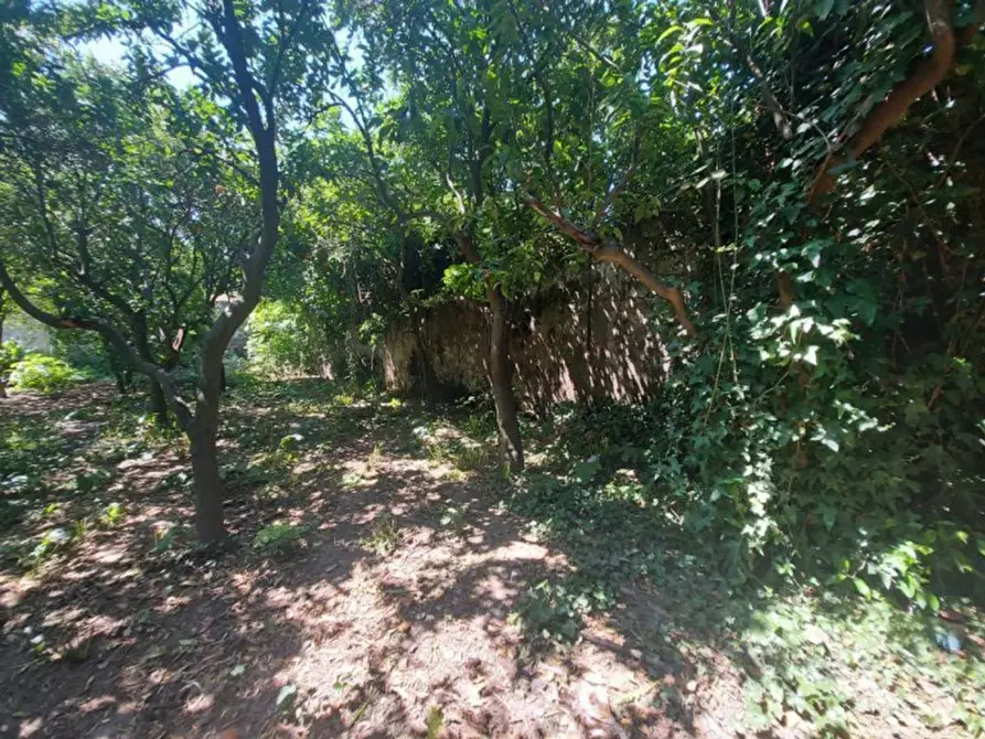 Immagine 8 di Terreno in vendita  in VIA TRE GRAZIE, N. SNC a Grazzanise