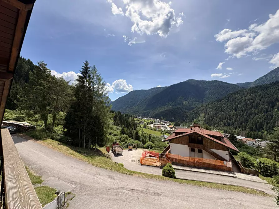 Immagine 10 di Appartamento in vendita  in Via Foletto a Auronzo Di Cadore