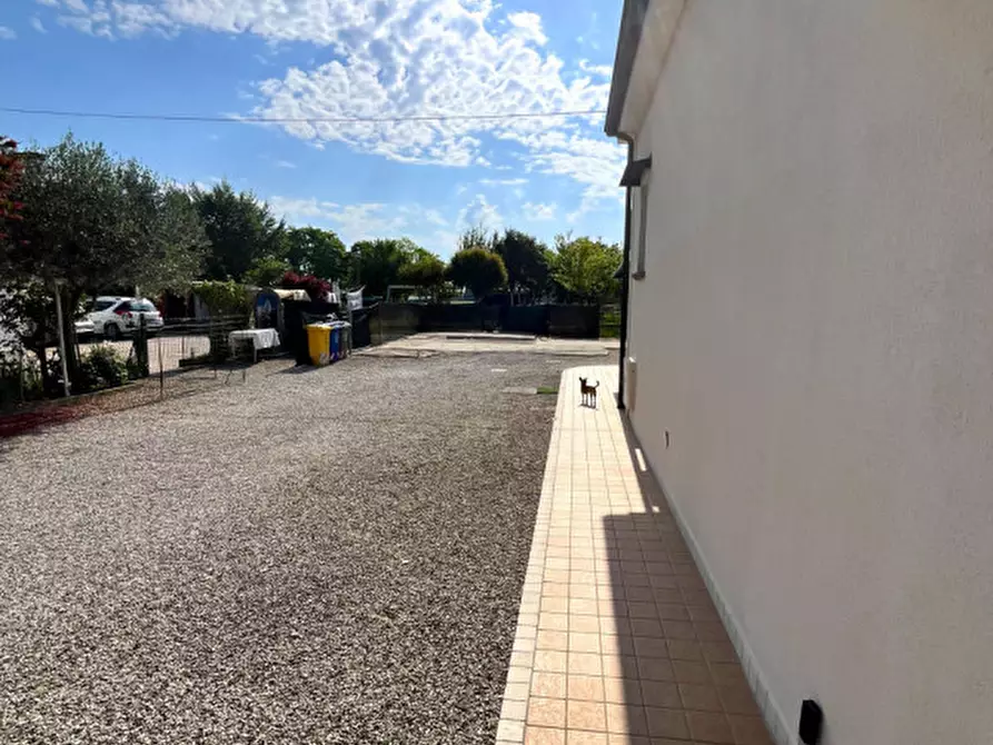 Immagine 6 di Casa indipendente in vendita  in Via San Cipriano a Roncade