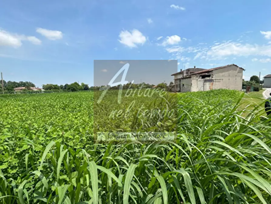 Immagine 18 di Rustico / casale in vendita  in Via Brenta a Campo San Martino