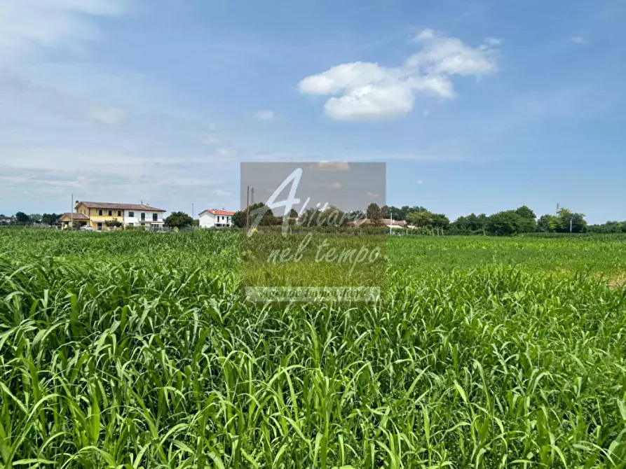 Immagine 19 di Rustico / casale in vendita  in Via Brenta a Campo San Martino
