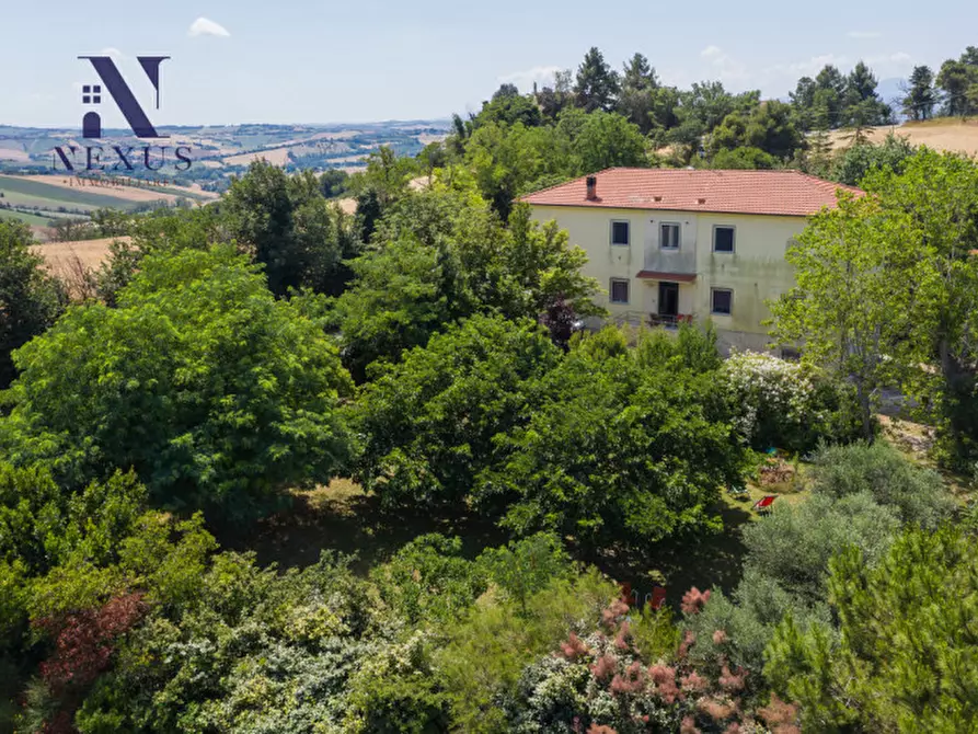 Immagine 1 di Villa in vendita  a Corinaldo