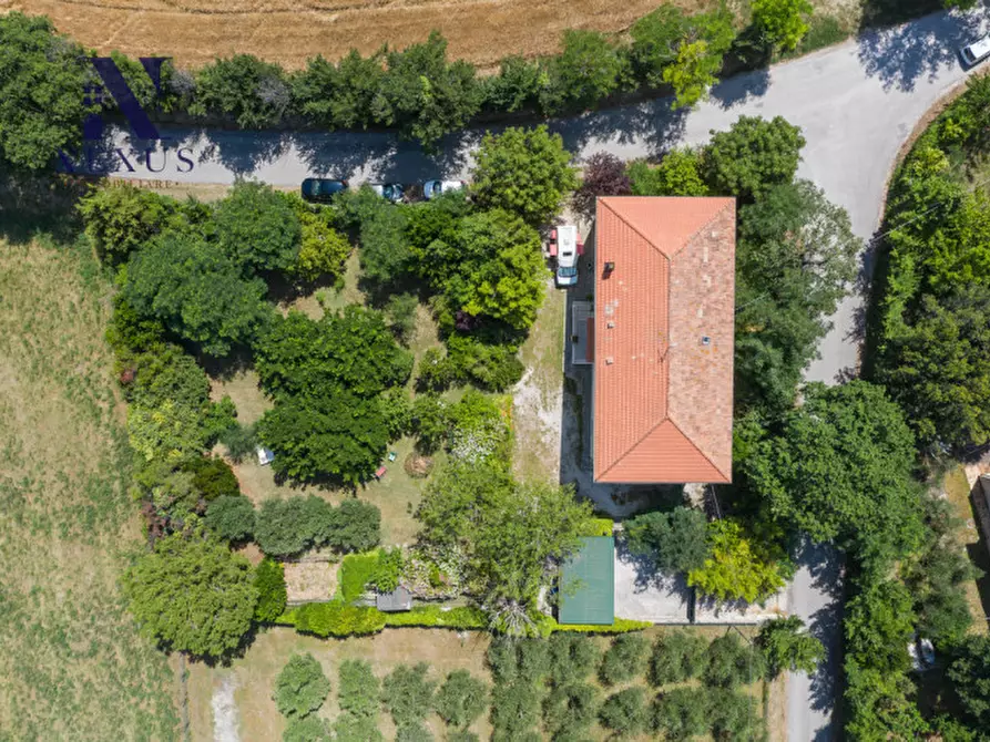 Immagine 2 di Villa in vendita  a Corinaldo