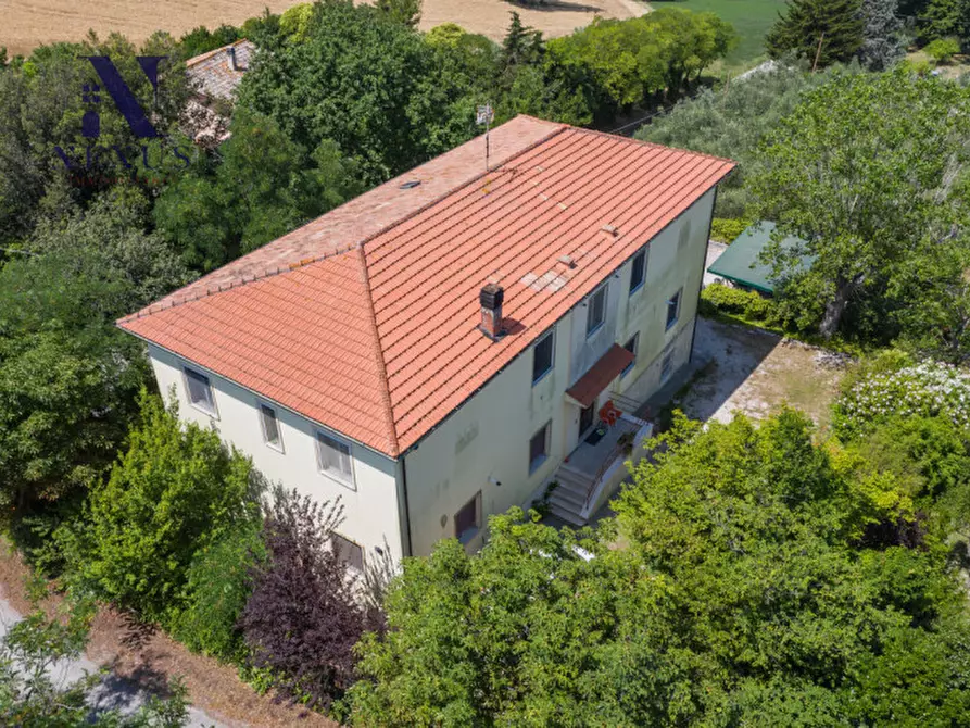 Immagine 3 di Villa in vendita  a Corinaldo