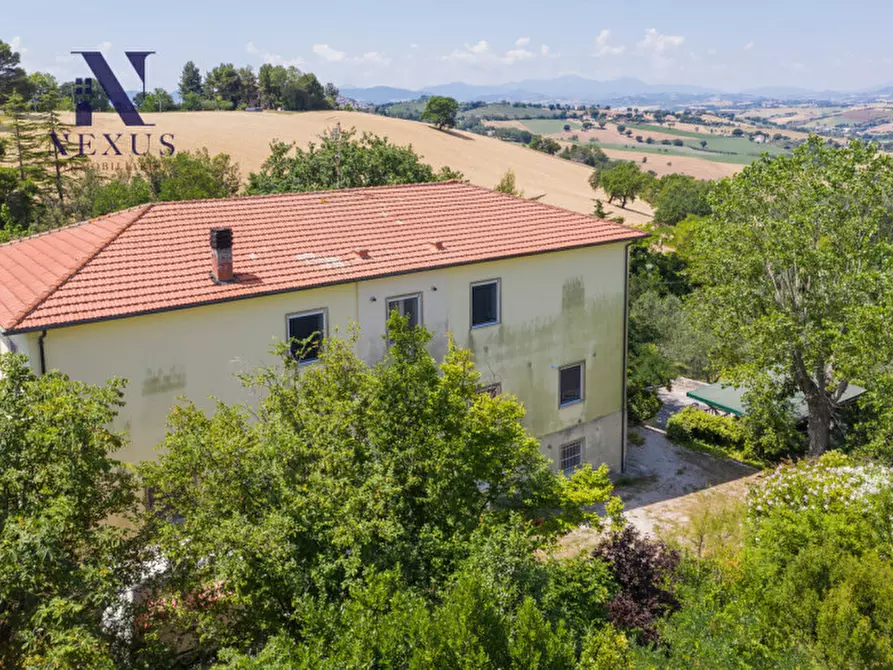 Immagine 4 di Villa in vendita  a Corinaldo