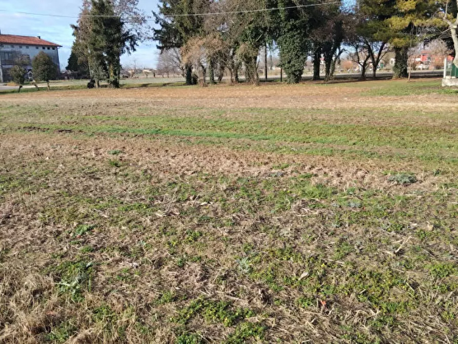 Immagine 2 di Rustico / casale in vendita  a Campolongo Maggiore