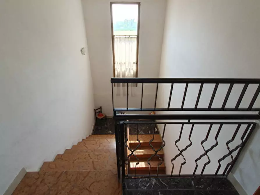 Immagine 14 di Casa indipendente in vendita  in Via Mazza a San Possidonio