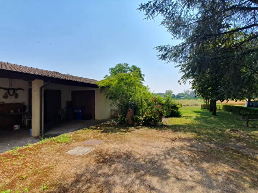 Immagine 37 di Casa indipendente in vendita  in Via Mazza a San Possidonio