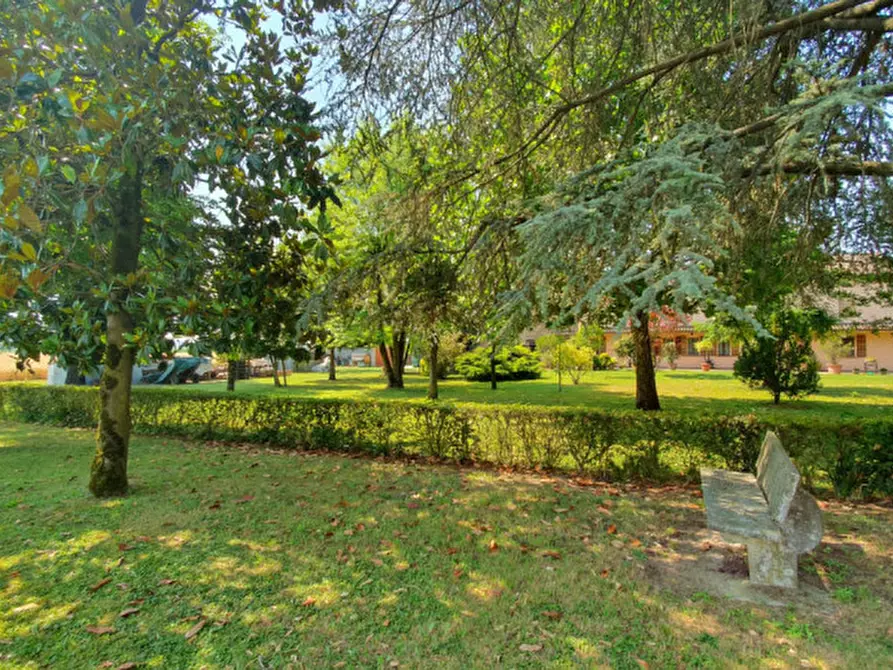 Immagine 38 di Casa indipendente in vendita  in Via Mazza a San Possidonio