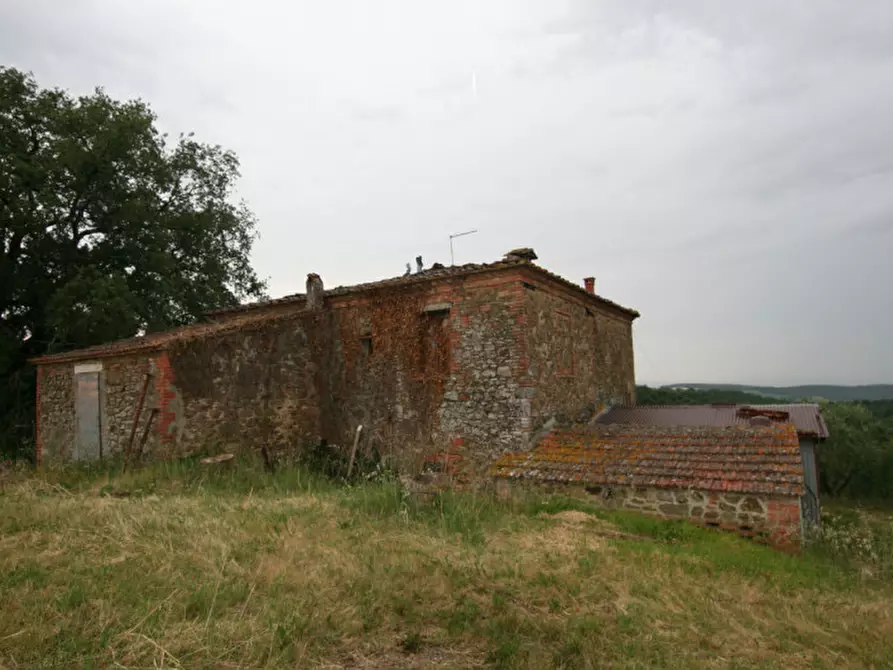 Immagine 1 di Rustico / casale in vendita  a Trequanda
