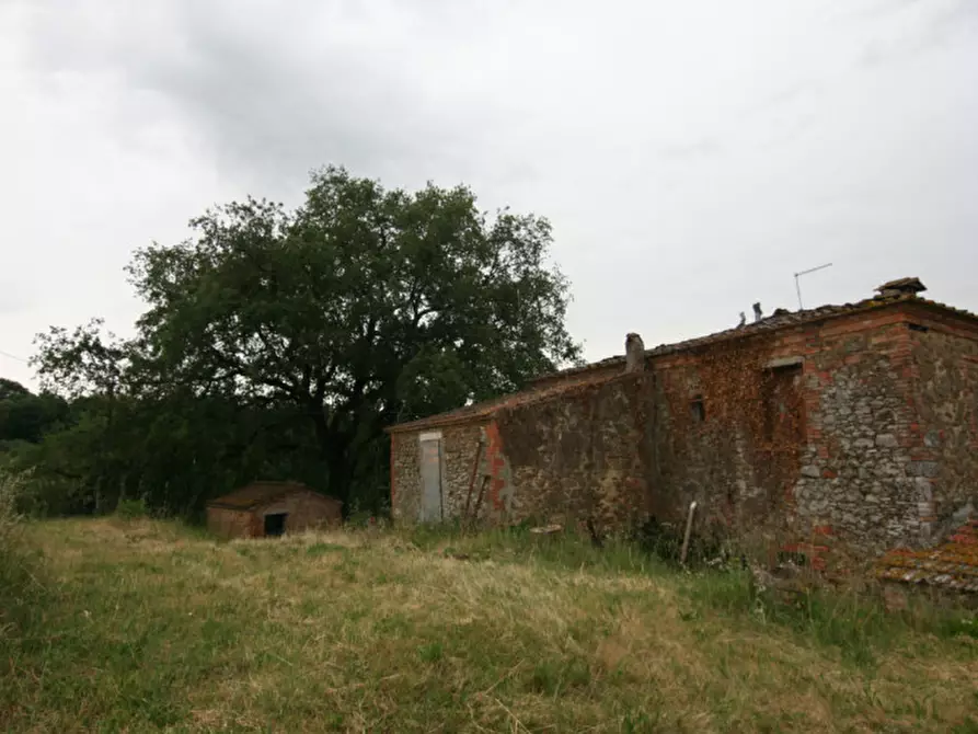 Immagine 3 di Rustico / casale in vendita  a Trequanda
