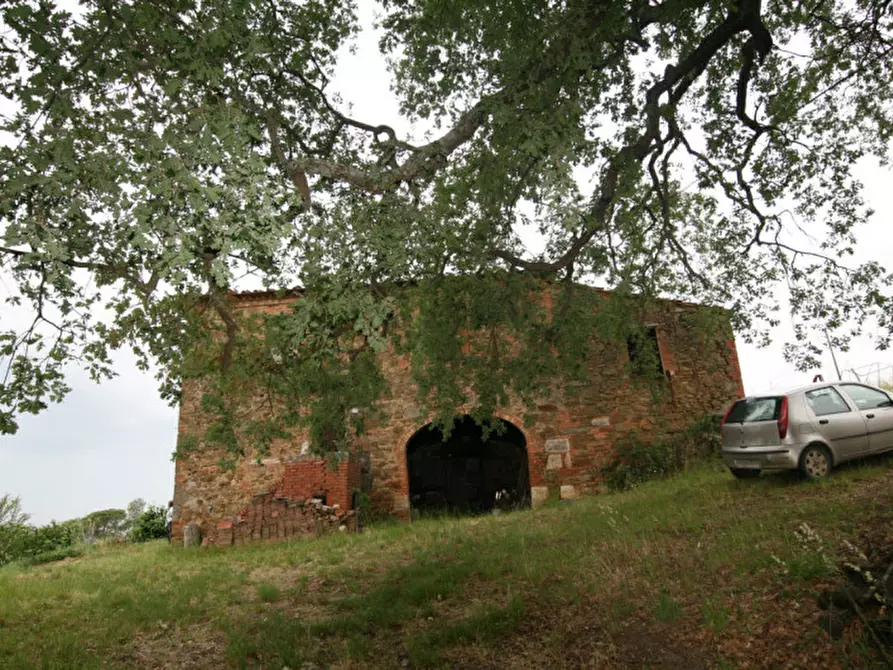 Immagine 4 di Rustico / casale in vendita  a Trequanda