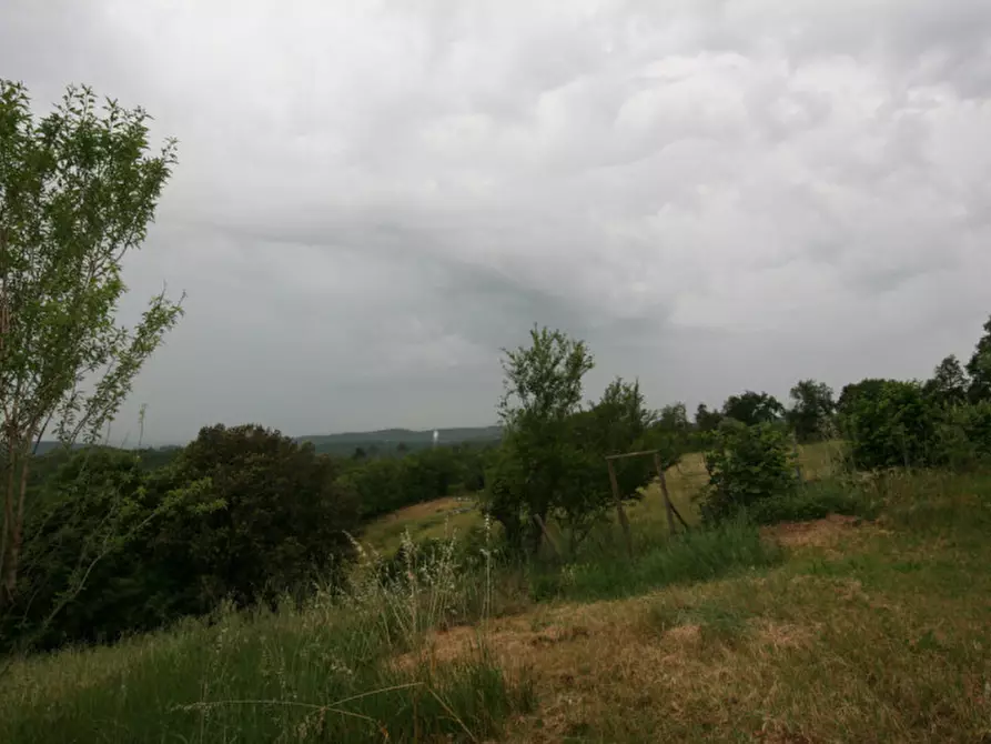 Immagine 5 di Rustico / casale in vendita  a Trequanda