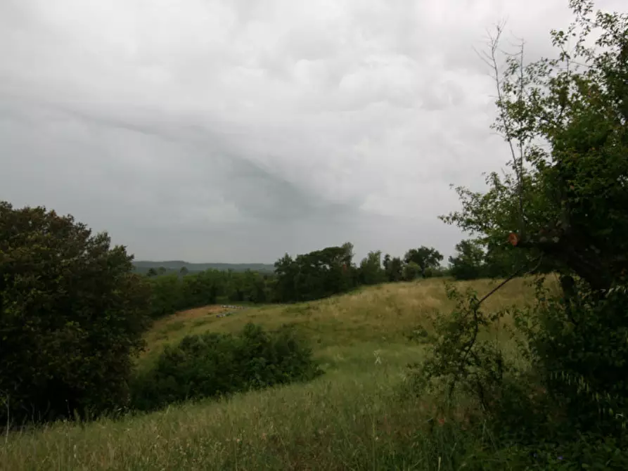 Immagine 7 di Rustico / casale in vendita  a Trequanda