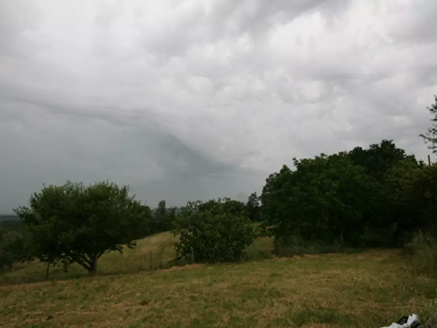 Immagine 8 di Rustico / casale in vendita  a Trequanda