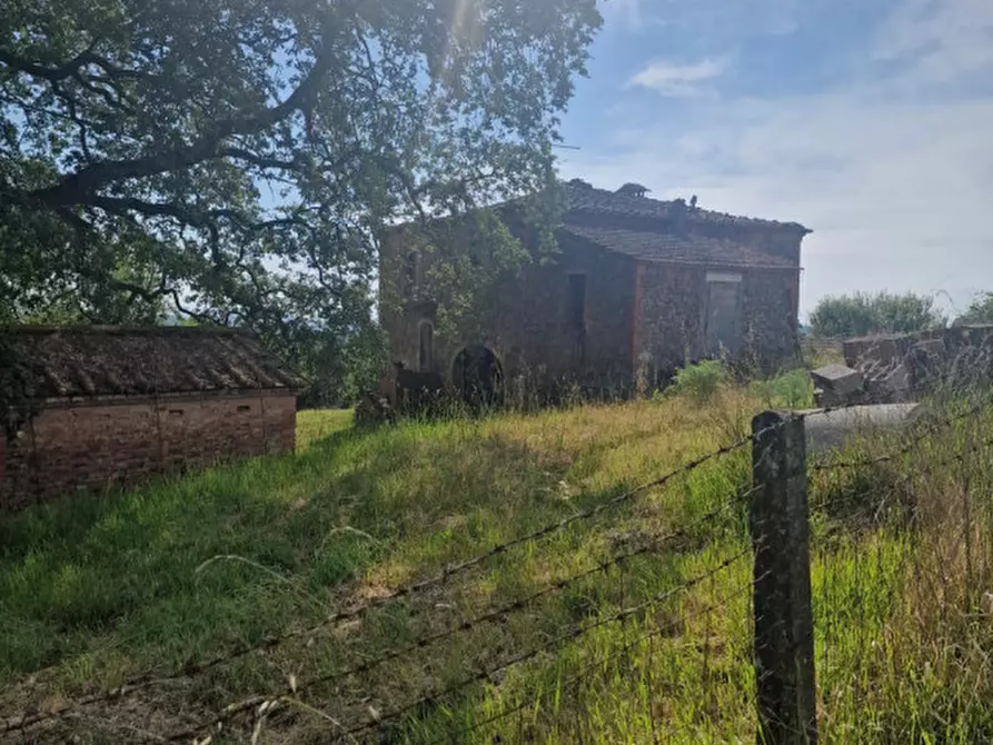 Immagine 26 di Rustico / casale in vendita  a Trequanda