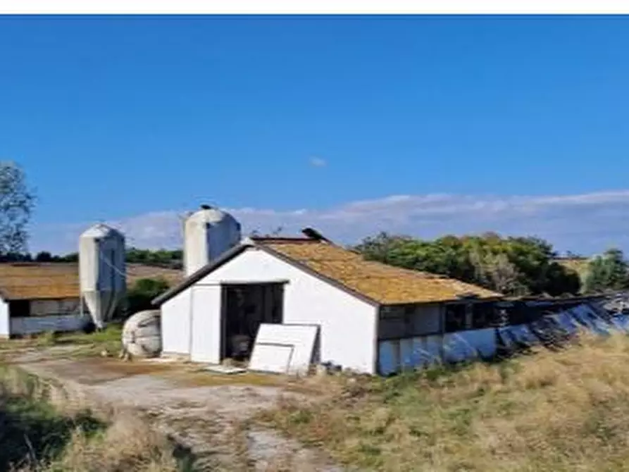 Immagine 8 di Capannone industriale in vendita  in Via Coppa, 11, 60027 Osimo AN, Italia a Osimo