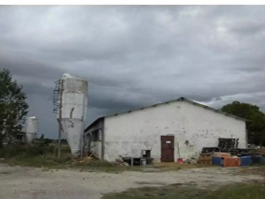 Immagine 9 di Capannone industriale in vendita  in Via Coppa, 11, 60027 Osimo AN, Italia a Osimo