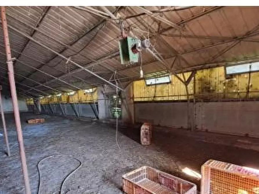 Immagine 17 di Capannone industriale in vendita  in Via Coppa, 11, 60027 Osimo AN, Italia a Osimo