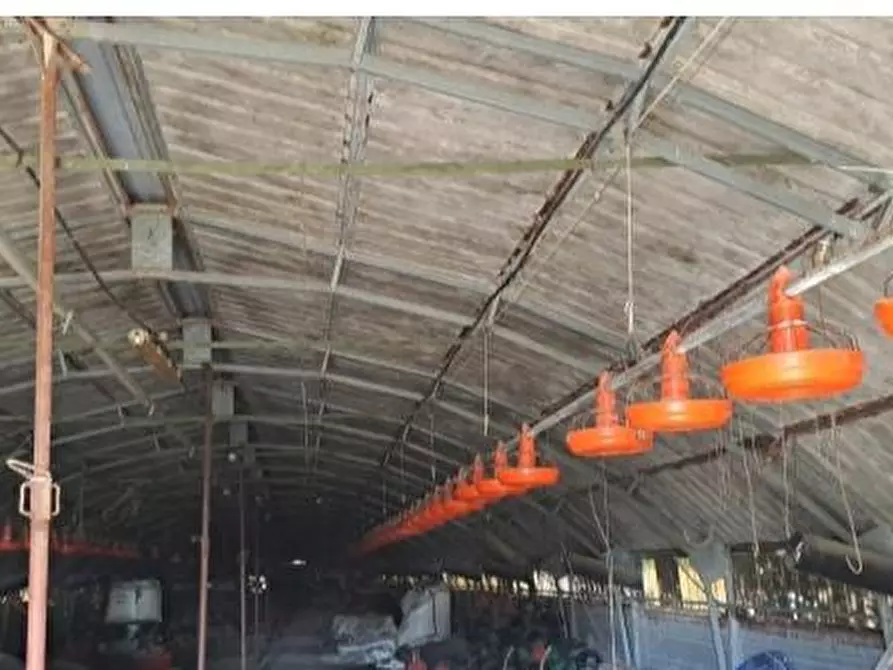 Immagine 19 di Capannone industriale in vendita  in Via Coppa, 11, 60027 Osimo AN, Italia a Osimo