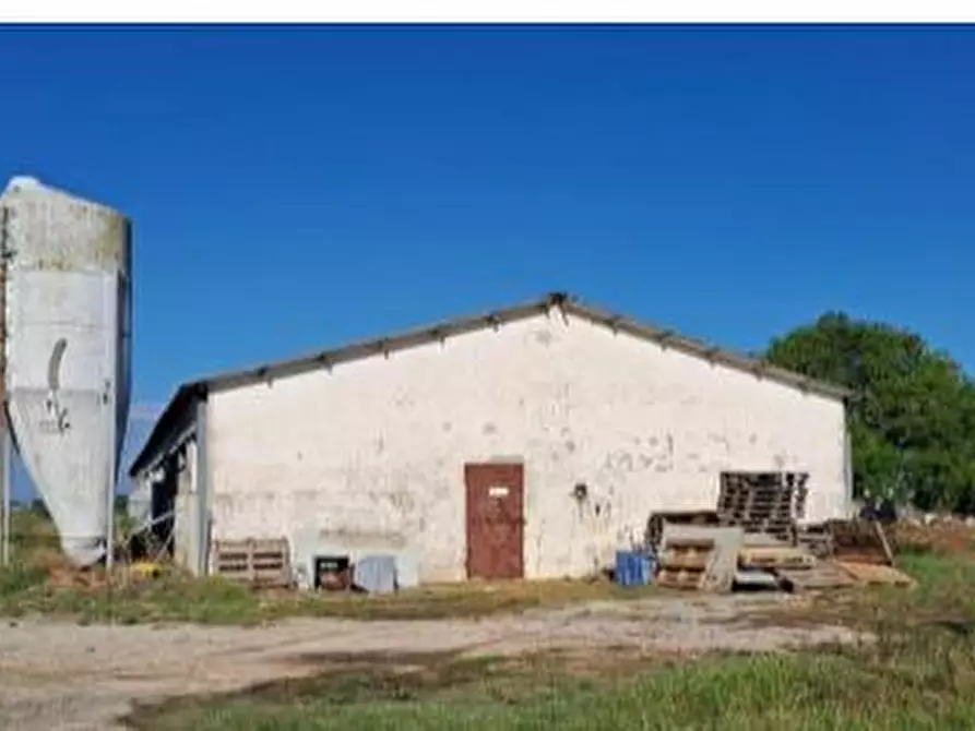 Immagine 35 di Capannone industriale in vendita  in Via Coppa, 11, 60027 Osimo AN, Italia a Osimo