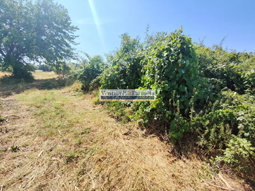 Immagine 11 di Terreno in vendita  in Via Panoramica a Puegnago Sul Garda