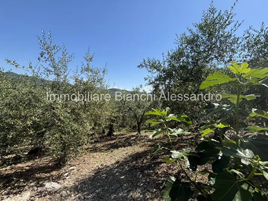 Immagine 17 di Appartamento in vendita  in Via Di Rosano 166 a Bagno A Ripoli