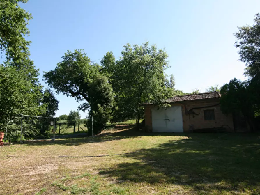 Immagine 24 di Rustico / casale in vendita  a Sinalunga