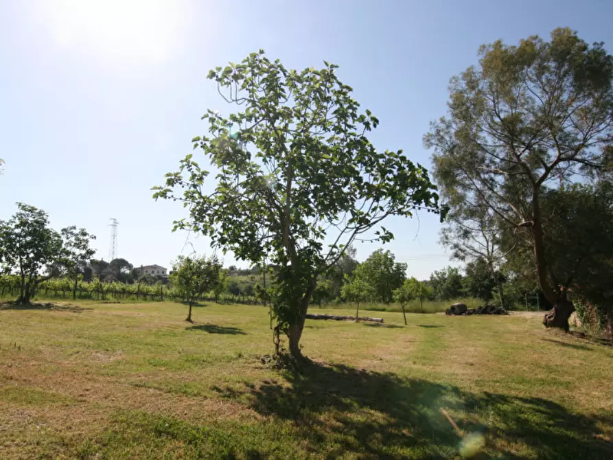 Immagine 25 di Rustico / casale in vendita  a Sinalunga