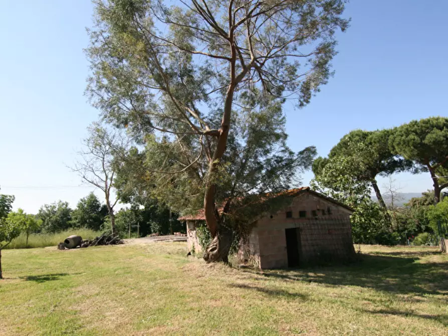 Immagine 26 di Rustico / casale in vendita  a Sinalunga