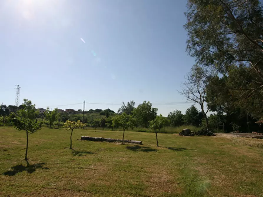 Immagine 27 di Rustico / casale in vendita  a Sinalunga