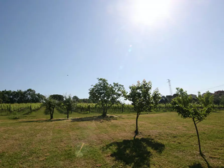 Immagine 28 di Rustico / casale in vendita  a Sinalunga