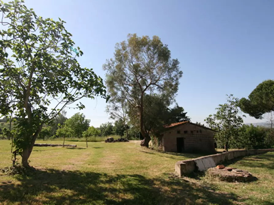 Immagine 30 di Rustico / casale in vendita  a Sinalunga