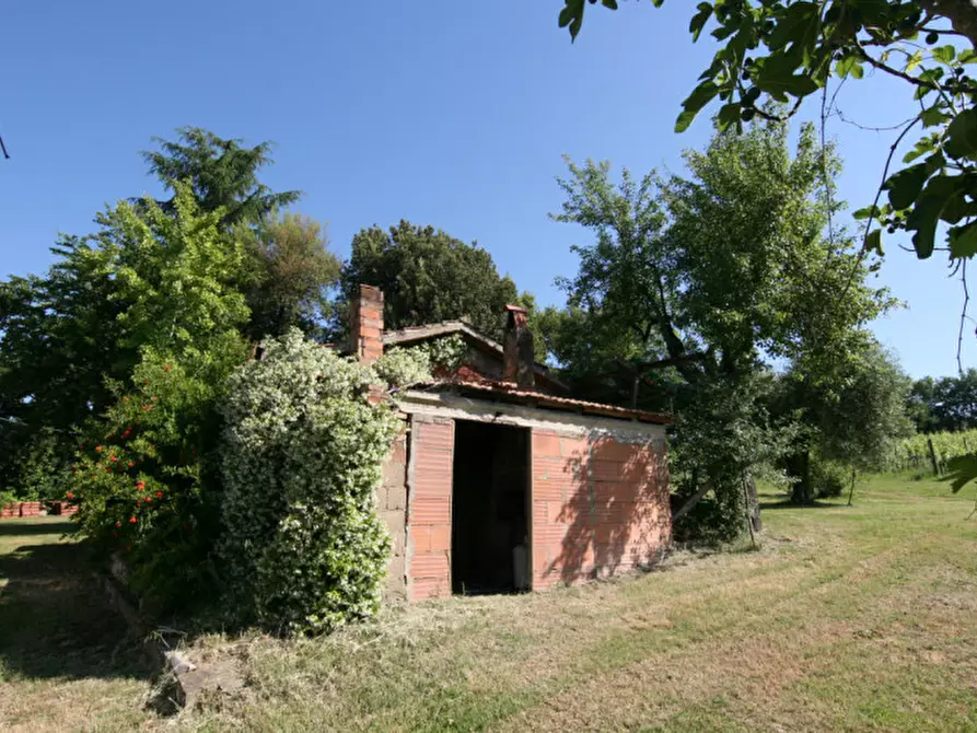 Immagine 31 di Rustico / casale in vendita  a Sinalunga