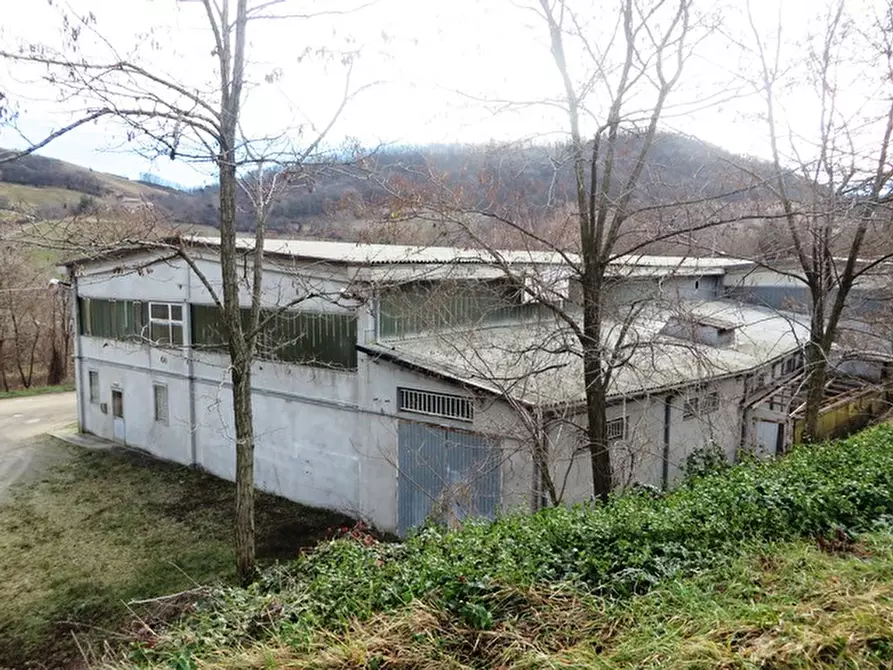 Immagine 9 di Capannone industriale in vendita  in Via Campiaro a Grizzana Morandi