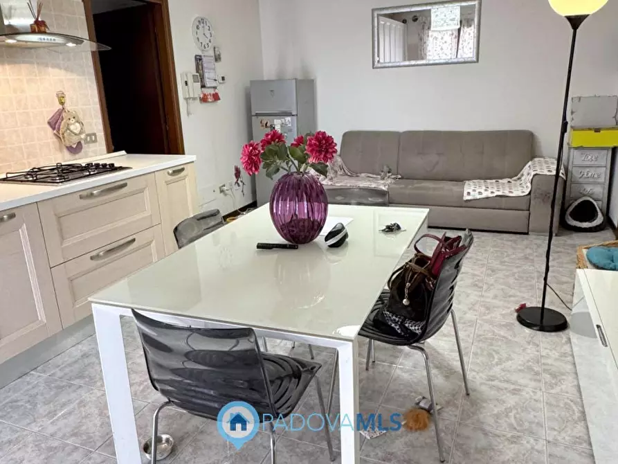 Immagine 4 di Appartamento in vendita  in Via San Pio X a Veggiano