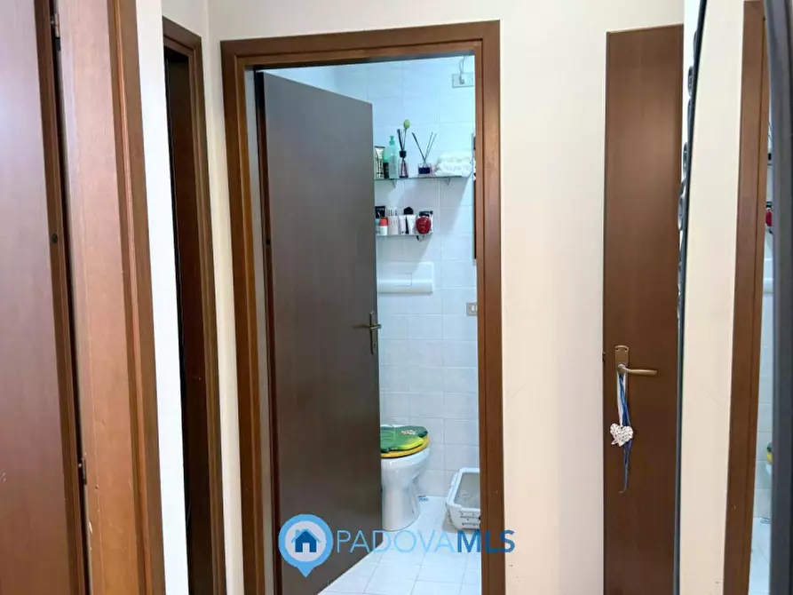 Immagine 9 di Appartamento in vendita  in Via San Pio X a Veggiano