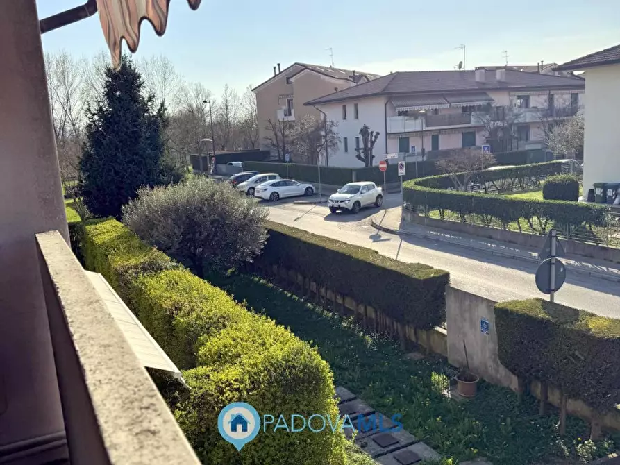 Immagine 13 di Appartamento in vendita  in Via San Pio X a Veggiano