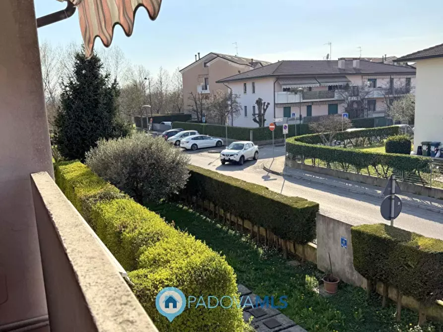 Immagine 14 di Appartamento in vendita  in Via San Pio X a Veggiano