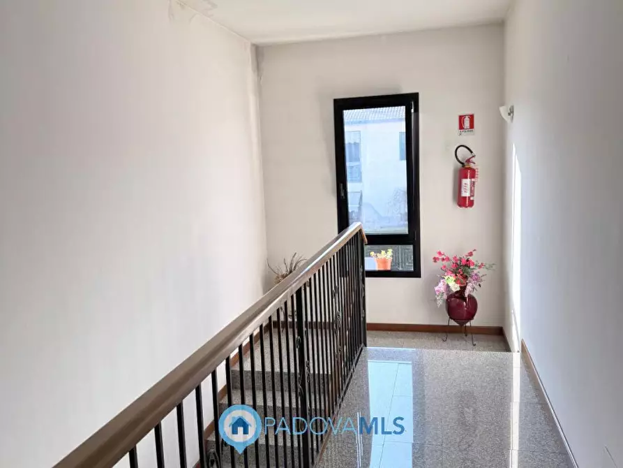 Immagine 17 di Appartamento in vendita  in Via San Pio X a Veggiano