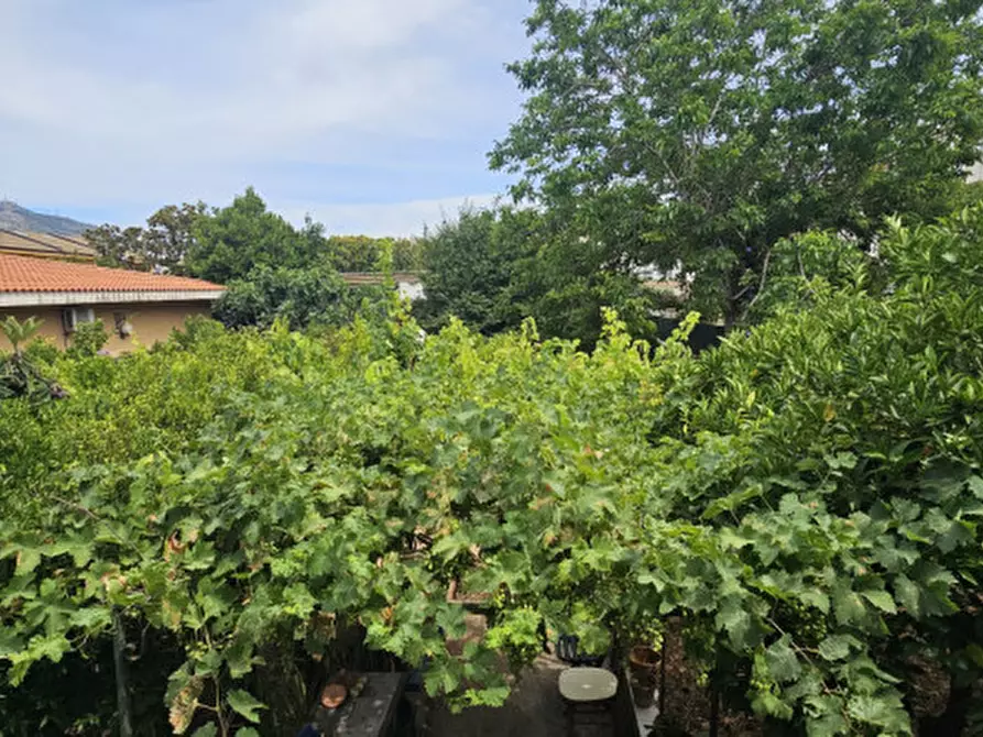 Immagine 16 di Villa in vendita  in Via Villa Cardillo, 13e a Palermo