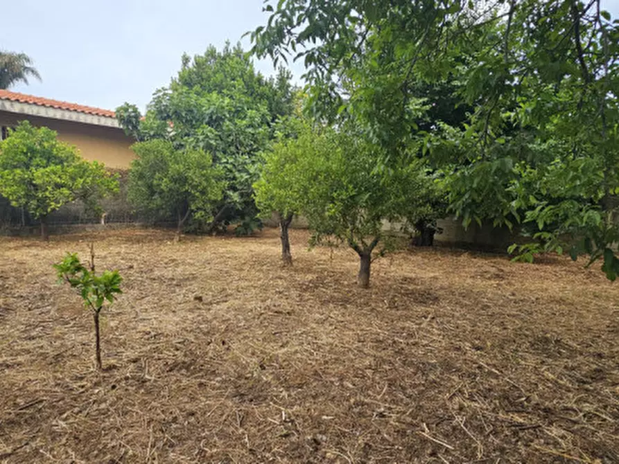 Immagine 18 di Villa in vendita  in Via Villa Cardillo, 13e a Palermo