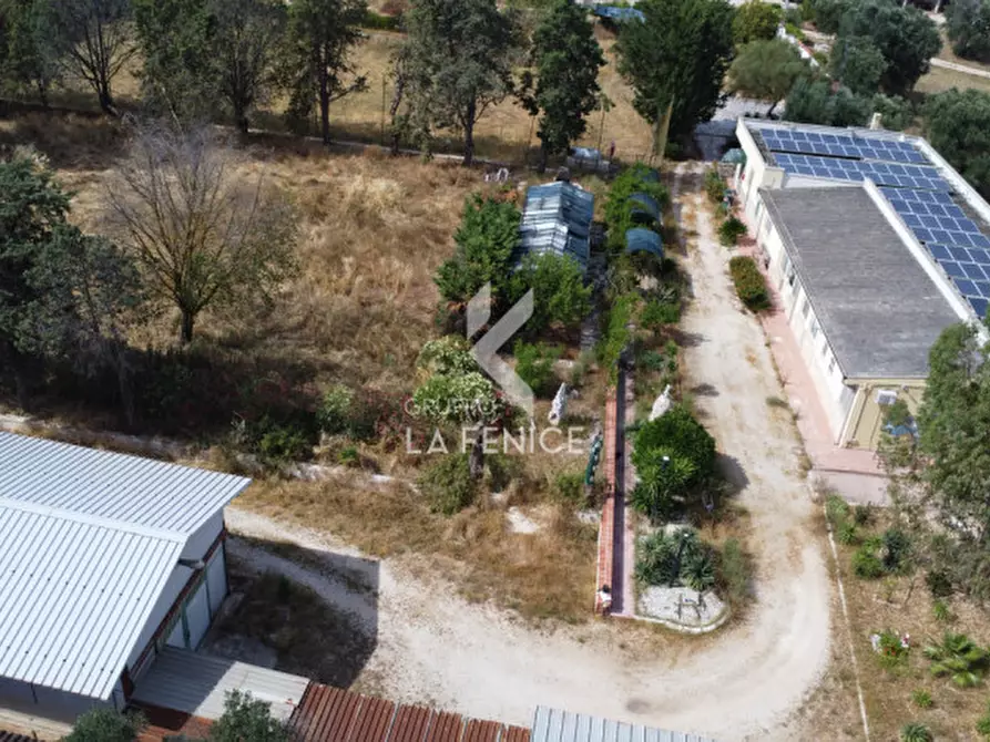 Immagine 4 di Villa in vendita  in contrada Pezza Le Monache a Villa Castelli