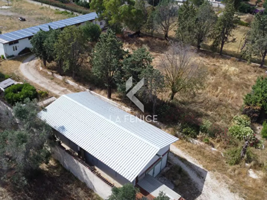 Immagine 6 di Villa in vendita  in contrada Pezza Le Monache a Villa Castelli