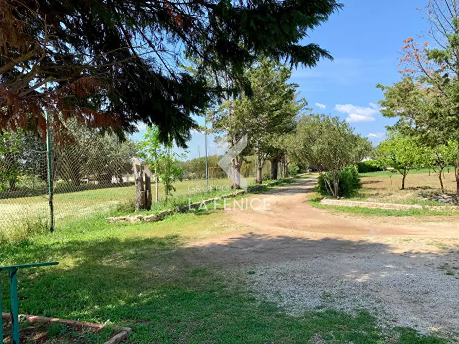 Immagine 27 di Villa in vendita  in contrada Pezza Le Monache a Villa Castelli