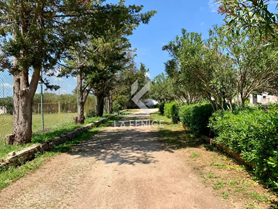 Immagine 29 di Villa in vendita  in contrada Pezza Le Monache a Villa Castelli