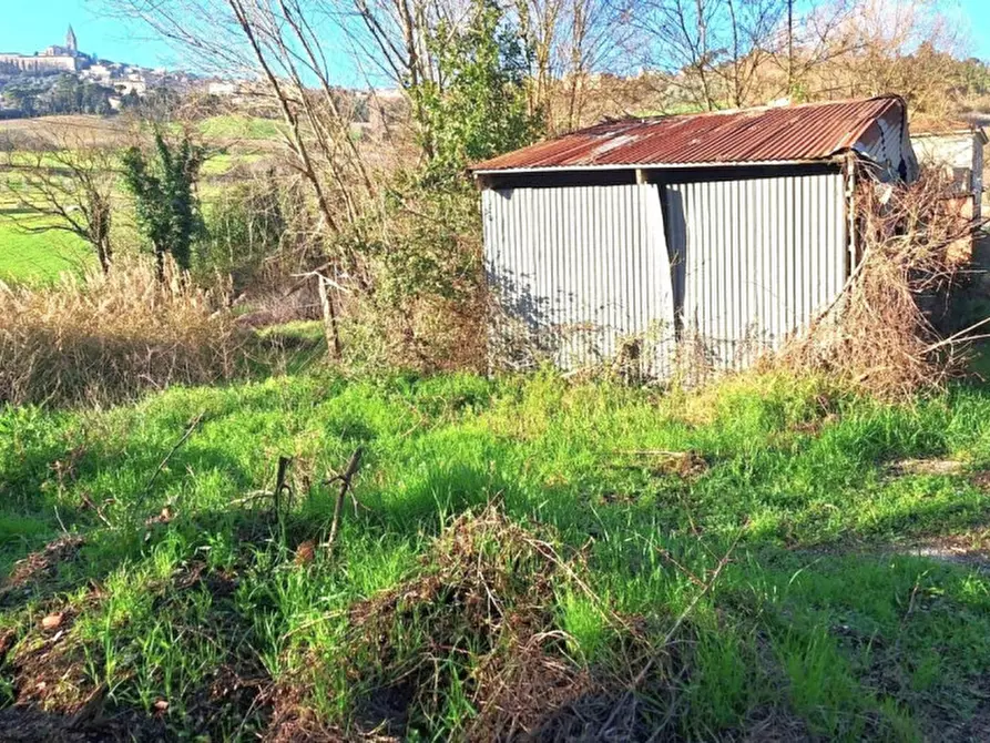 Immagine 4 di Capannone industriale in vendita  in Vocabolo Cappuccini, 06059 Todi PG, Italia a Todi
